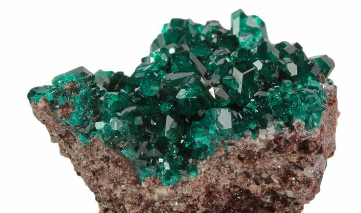 Sparkly, Gemmy Dioptase Crystal Cluster - Namibia #78699